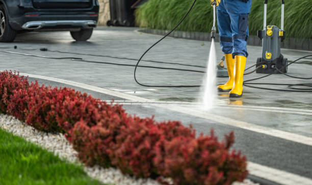 Best Animal Enclosure Cleaning  in Madison, FL